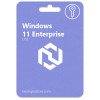 ويندوز 11 انتربرايز