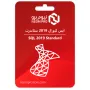 ايس كيو إل 2019 ستاندرت